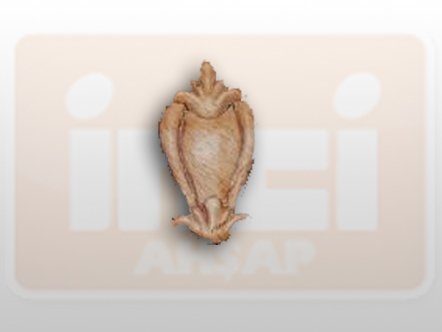 810750 AHŞAP APLİK 7x4cm