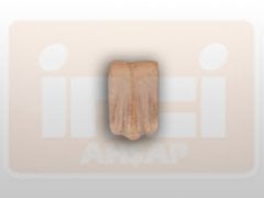 811070 AHŞAP APLİK 7x4cm